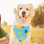 Hawaii Dog Bandana Set - 4 Pack for Summer