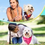 Colorful Triangle Dog Bandanas - 100 Pack