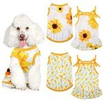 Cute 4-Piece Pet Clothes Set for Dogs