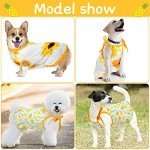 Cute 4-Piece Pet Clothes Set for Dogs