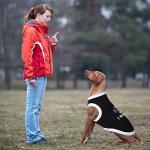 12 Funny Pet T-Shirts for Dogs and Cats