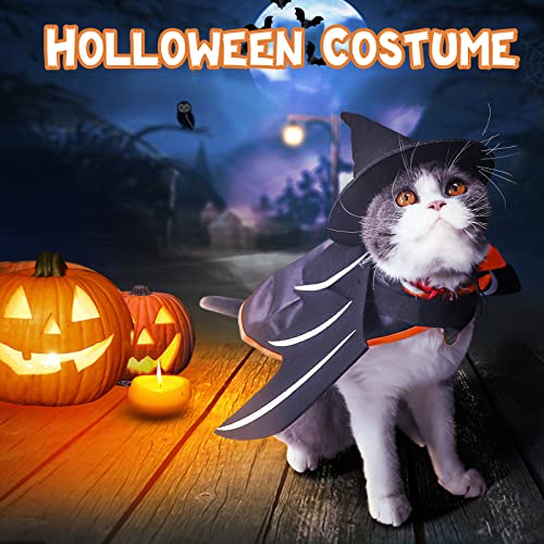 Bat Wings & Witch Cloak Halloween Pet Costume Set
