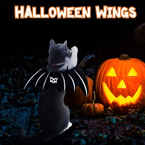 Bat Wings & Witch Cloak Halloween Pet Costume Set