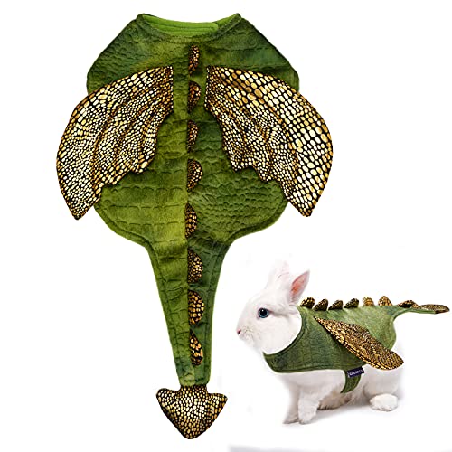 Cute Small Animal Halloween Costumes for Pets