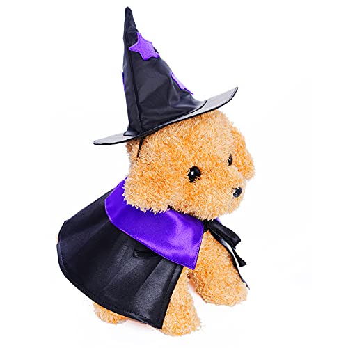 Funny Wizard Costume for Cats and Small Dogs