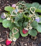 Cute Strawberry Bag Charm for Girls' Handbag