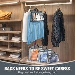 Chumia Clear Handbag Dust Bags with Hooks