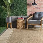 Asha Simple Border 5x8 Indoor/Outdoor Area Rug