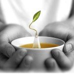 Tea Forte Blueberry Merlot Herbal Tea Event Box, Bulk Pack of 48 Pyramid Infuser Tea Sachets for All Occasions