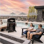 Blackstone 6825 Pizza Oven, Black
