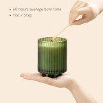 LA JOLIE MUSE Pomegranate & Pine Candle, Christmas Candles for Home Scented, Holiday Candle Gifts for Women&Men, Natural Soy Candles, Luxury Jar Candle, 11oz