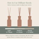Archipelago Botanicals Lavande Reed Diffuser, Home Fragrance Reed Diffuser, Includes Fragrance Oil, Decorative Wooden Cap & 10 Diffuser Reeds, Perfect for Home, Office or Gift, 7.85 fl oz