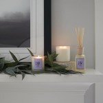 Archipelago Botanicals Lavande Reed Diffuser, Home Fragrance Reed Diffuser, Includes Fragrance Oil, Decorative Wooden Cap & 10 Diffuser Reeds, Perfect for Home, Office or Gift, 7.85 fl oz