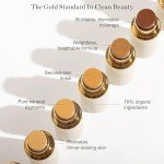 Ogee Sculpted Complexion Foundation Stick (Willow 3.00C - Medium Light, Peach-Beige Undertones) Full Coverage Foundation Makeup - Instantly Balance & Even Complexion - 70% Organic Ingredients