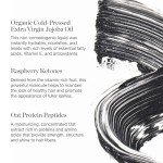 Ogee Beyond Clean Volumizing Mascara - Certified Organic Black Mascara for Volume and Length - Lengthening Mascara for Sensitive Eyes