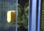 Exaco Year-Round-NP Season 2 x 4 ft. Cold Frame with Dual Purpose Screen or Polycarbonate Lid, Clear