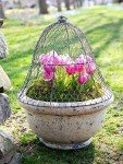 Gardener's Supply Company Sturdy Chicken Wire Cloche Plant Protector & Cover | Sturdy Metal Cage Garden Protection for Your Plants and Seedlings | No Assembly Required - 16" in Diameter x 12-1/2" H