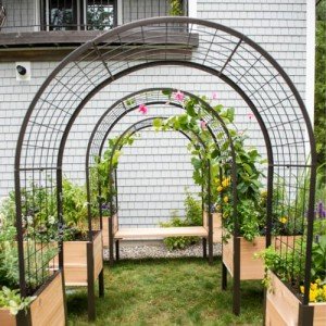 Gardener’s Supply Company Arch Trellis for Elevated Planter Box | 2' x 4' Garden Arbor Trellis for Climbing Plants, Vegetables and Flowers | Decorative Outdoor Garden Landscape