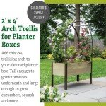Gardener’s Supply Company Arch Trellis for Elevated Planter Box | 2' x 4' Garden Arbor Trellis for Climbing Plants, Vegetables and Flowers | Decorative Outdoor Garden Landscape