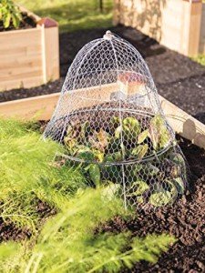 Gardener's Supply Company Sturdy Chicken Wire Cloche Plant Protector & Cover | Sturdy Metal Cage Garden Protection for Your Plants, Seedlings & Flowerbeds - (Cloche and Extension Set)