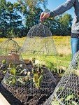 Gardener's Supply Company Sturdy Chicken Wire Cloche Plant Protector & Cover | Sturdy Metal Cage Garden Protection for Your Plants, Seedlings & Flowerbeds - (Cloche and Extension Set)
