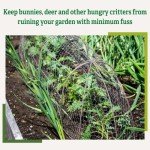 Gardener’s Supply Company Chicken Wire Cloche Garden Plot Plants Cover Protector | Sturdy Arch Metal Tunnel Cage Flowerbeds and Seedlings Garden Protection from Wild Animals | (3-in-1 Set) Extra Large