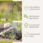 Gardener's Supply Company Sturdy Chicken Wire Cloche Plant Protector & Cover | Sturdy Metal Cage Garden Protection for Your Plants, Seedlings & Flowerbeds - (Cloche and Extension Set)