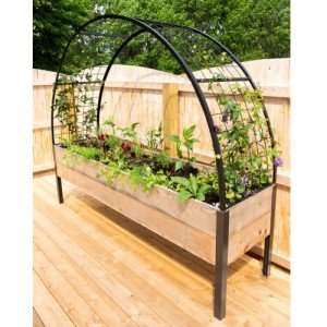 Gardener’s Supply Company Arch Trellis | Garden Arbor Trellis fits 2' x 8' Elevated Planter Boxes for Climbing Plants, Vegetables and Flowers | Decorative Outdoor Garden Landscape