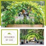 Gardener’s Supply Company Arch Trellis | Garden Arbor Trellis fits 2' x 8' Elevated Planter Boxes for Climbing Plants, Vegetables and Flowers | Decorative Outdoor Garden Landscape