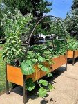 Gardener’s Supply Company Arch Trellis | Garden Arbor Trellis fits 2' x 8' Elevated Planter Boxes for Climbing Plants, Vegetables and Flowers | Decorative Outdoor Garden Landscape