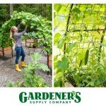 Gardener’s Supply Company Arch Trellis | Garden Arbor Trellis fits 2' x 8' Elevated Planter Boxes for Climbing Plants, Vegetables and Flowers | Decorative Outdoor Garden Landscape