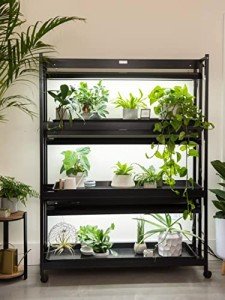 Gardener's Supply Company Indoor Greenhouse Gardening 3-Tier Plant Stand with Three Watertight Shelf Trays | Ideal Bright 6500K Color LED Grow Light Spectrum for Optimal Plant Growth