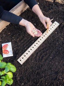 Gardeners Supply Company Planting Ruler and Dibber | Wooden Plant Seed Spacing and Interval Ruler for Outdoor Raised Garden Bed and Vegetable Gardens | 20-1/2"L and is 2"W x 1/2" Thick