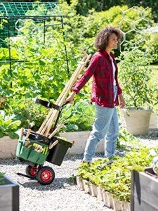 Gardener's Supply Company - Heavy Duty Mobile Tool Storage Caddy - All in One Easy-Roll Garden Tools Utility Cart Carrier - Includes 5-Gallon Bucket & Fabric Tool Organizer with Multiple Pockets