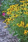 Gardener's Supply Company - 12 x 19 Jardin Half-Round Supports, Set of 2