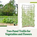 Gardeners Supply Company Two Panel Folding Garden Trellis | Sturdy Metal Frame Outdoor Cucumber, Pea Trellis & Other Climbing Vegetable Garden Plants Support | ​35-1/2"W x 58" H