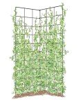 Gardeners Supply Company Two Panel Folding Garden Trellis | Sturdy Metal Frame Outdoor Cucumber, Pea Trellis & Other Climbing Vegetable Garden Plants Support | ​35-1/2"W x 58" H