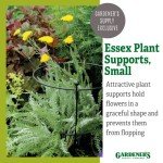 Gardener's Supply Company Essex Plant Support | Sturdy Metal Plants Support Frame For Peonies, Rose Ornamental Flower Garden Cage | Natural Bouquet Shape Flower Support | Small -23"H X 14"D (Set of 2)