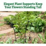 Gardener's Supply Company Essex Plant Support | Sturdy Metal Plants Support Frame For Peonies, Rose Ornamental Flower Garden Cage | Natural Bouquet Shape Flower Support | Small -23"H X 14"D (Set of 2)