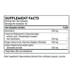 THORNE Phytoprofen - Botanical Blend of Ginger, Boswellia, and Curcumin - Supports Healthy Cytokine Balance and Healing After Injury or Surgery - Gluten-Free, Soy-Free, Dairy-Free - 60 Capsules