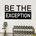 SEATUNE Large Gym Wall Stickers - Inspirational Quotes Motivational Wall Decals - Home Gym Garage Vinyl Art Wall Decor - Be The Exception 28.6"X15"
