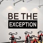 SEATUNE Large Gym Wall Stickers - Inspirational Quotes Motivational Wall Decals - Home Gym Garage Vinyl Art Wall Decor - Be The Exception 28.6"X15"