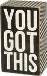 Primitives by Kathy Mini Box Sign, 3" x 5", You Got This (14160317)