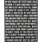 Primitives by Kathy 22232 Classic Box Sign, 16" x 20", Dog Taught Me