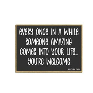 Honey Dew Gifts, Every Once in a While Someone Amazing Comes Into Your Life You're Welcome, 3.5 Inch by 2.5 Inch, Locker Decorations, Decorative Refrigerator Magnets, 76932