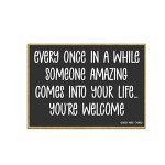 Honey Dew Gifts, Every Once in a While Someone Amazing Comes Into Your Life You're Welcome, 3.5 Inch by 2.5 Inch, Locker Decorations, Decorative Refrigerator Magnets, 76932