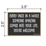 Honey Dew Gifts, Every Once in a While Someone Amazing Comes Into Your Life You're Welcome, 3.5 Inch by 2.5 Inch, Locker Decorations, Decorative Refrigerator Magnets, 76932
