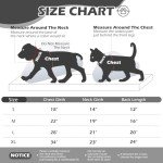 EXPAWLORER Fuzzy Dog Sweaters, Double-Sided Plush Fleece Soft Dog Hoodie with Leash Hole, Dog Cold Weather Clothes Winter Coat, Dog Sherpa Hooded Sweatshirt for Small Medium Large Dogs(Black M)