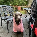EXPAWLORER Prinecss Dog Hoodie for Girl - Hooded Dog Sweater with Leash Hole, Dog Cold Weather Clothes,Sweatshirt with Pocket, Pet Warm Outfit, Winter Coats for XS-XXL Dogs