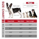 EXPAWLORER Dog Coat Polar Fleece Sweater Jacket, Warm Winter Dog Clothes with Dual D Ring,Zip Up Dog Cold Weather Coats, Windproof Adjustable Pet Apparel Outfit for Small Medium Large Dogs Boys Girls